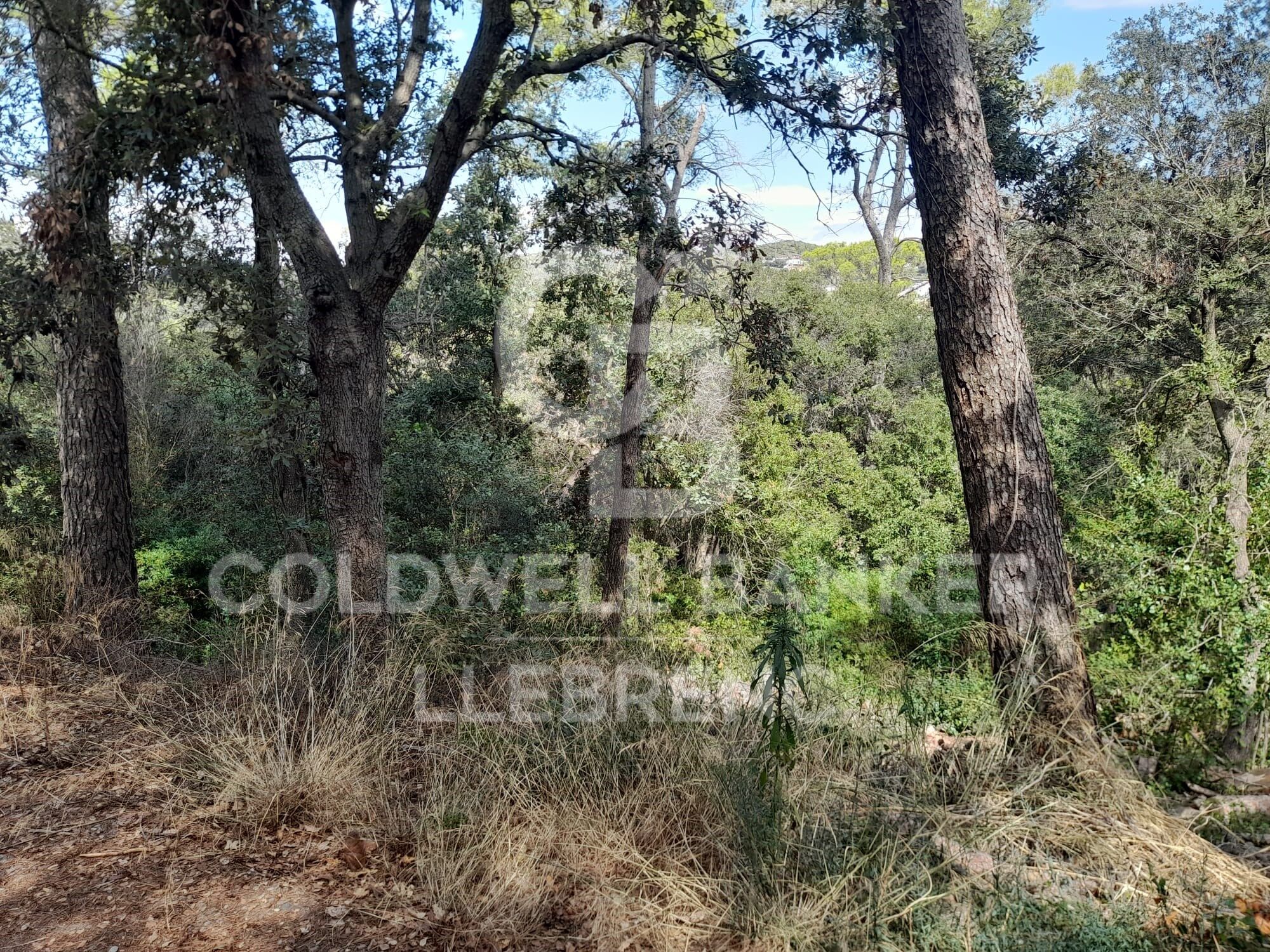 Terrain Acheter Barcelona