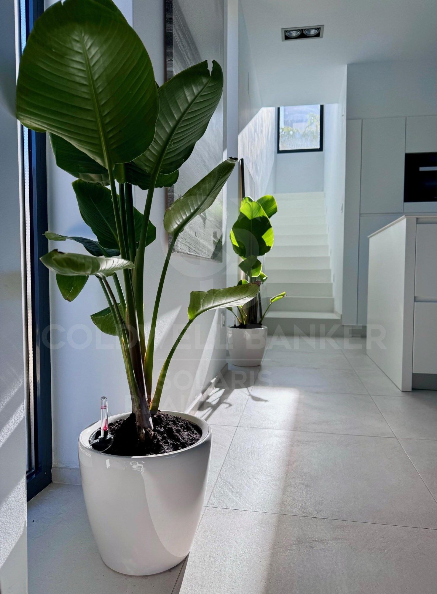 The Sun - Villa de diseño con alma mediterránea en Calpe