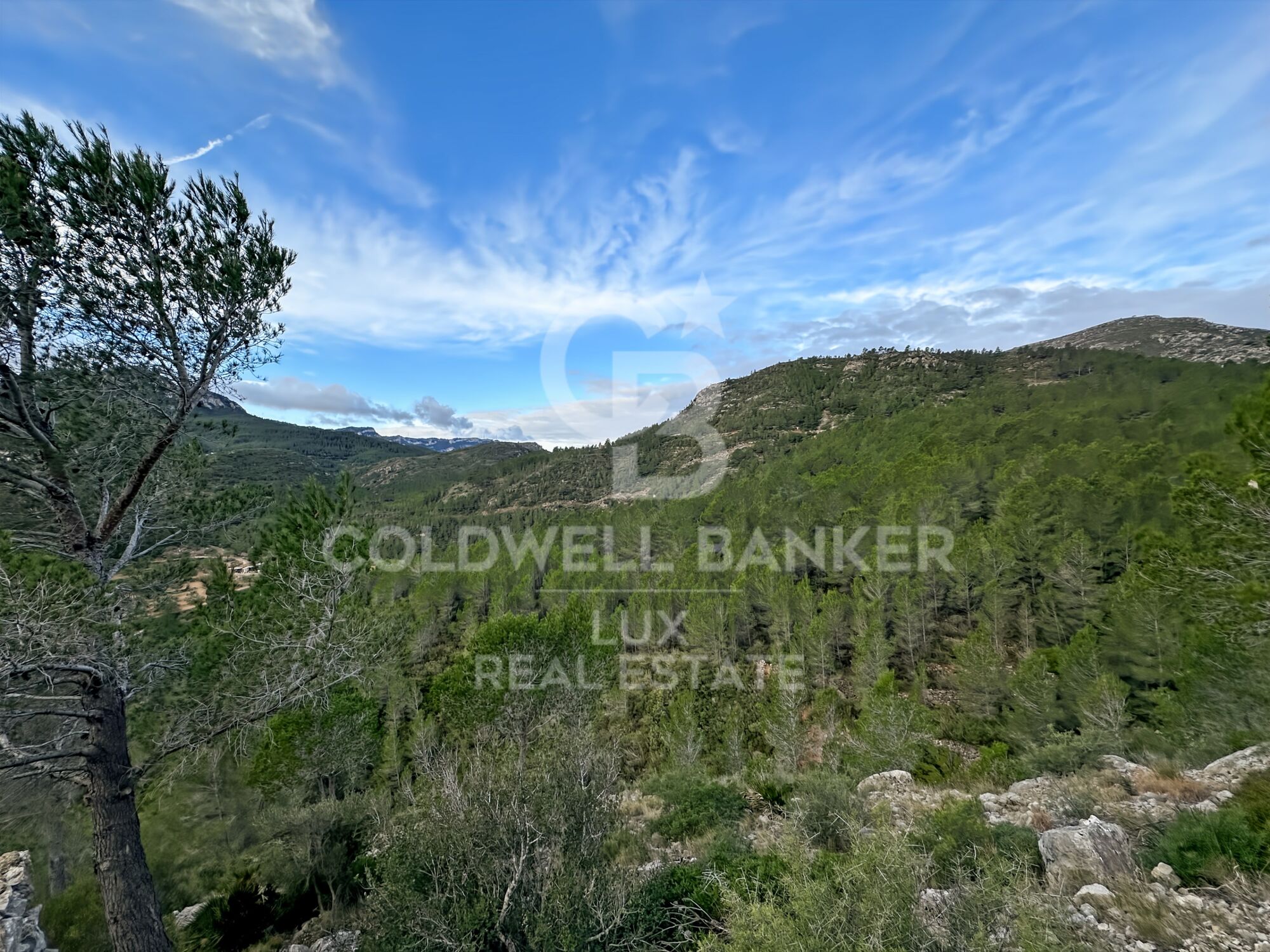 Opportunity in Pratdip, Costa Dorada: estate of almost 28 hectares with a farmhouse dating back to 1900