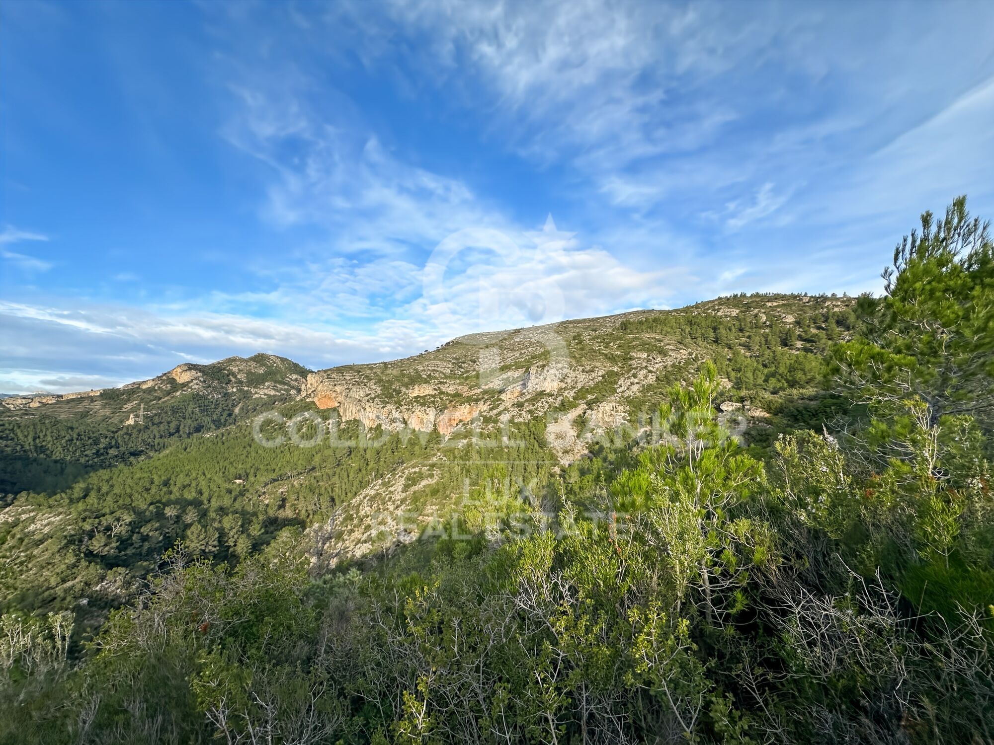 Opportunity in Pratdip, Costa Dorada: estate of almost 28 hectares with a farmhouse dating back to 1900