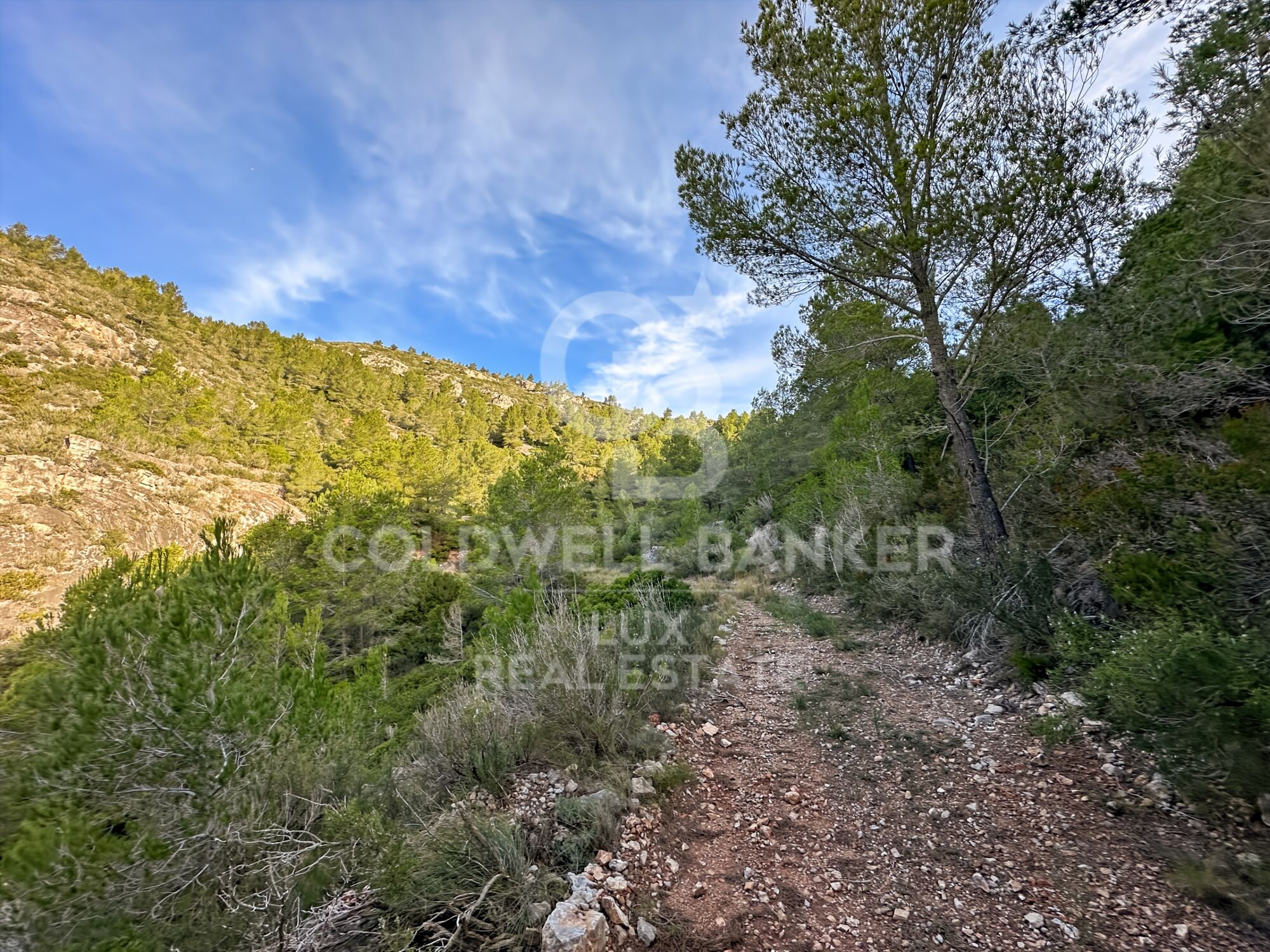 Opportunity in Pratdip, Costa Dorada: estate of almost 28 hectares with a farmhouse dating back to 1900