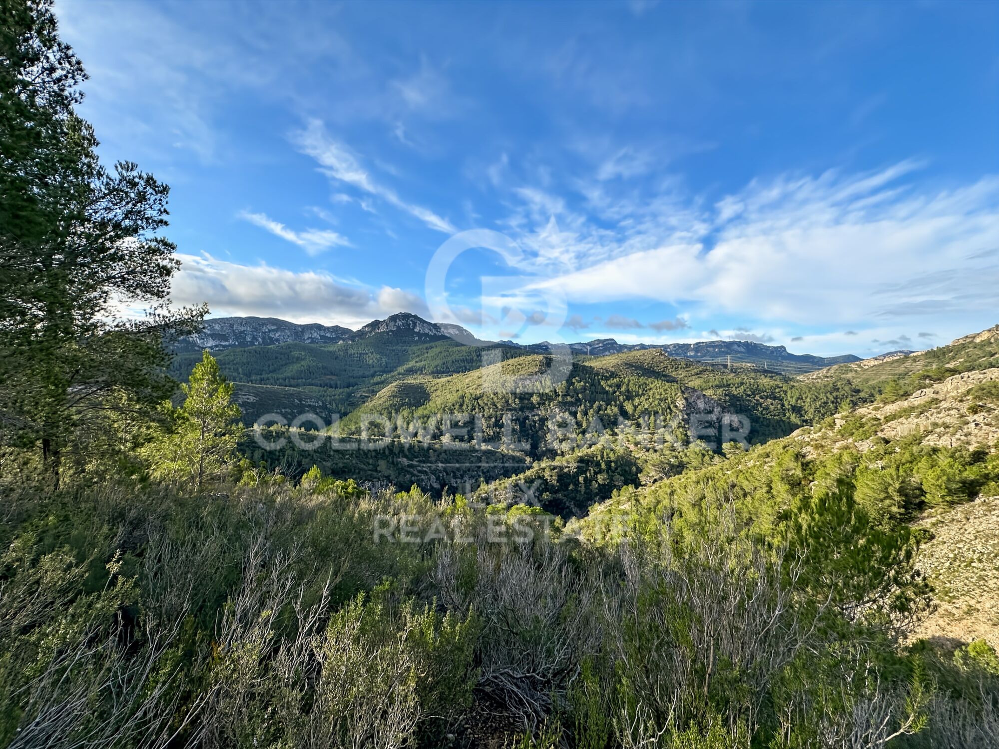 Opportunity in Pratdip, Costa Dorada: estate of almost 28 hectares with a farmhouse dating back to 1900