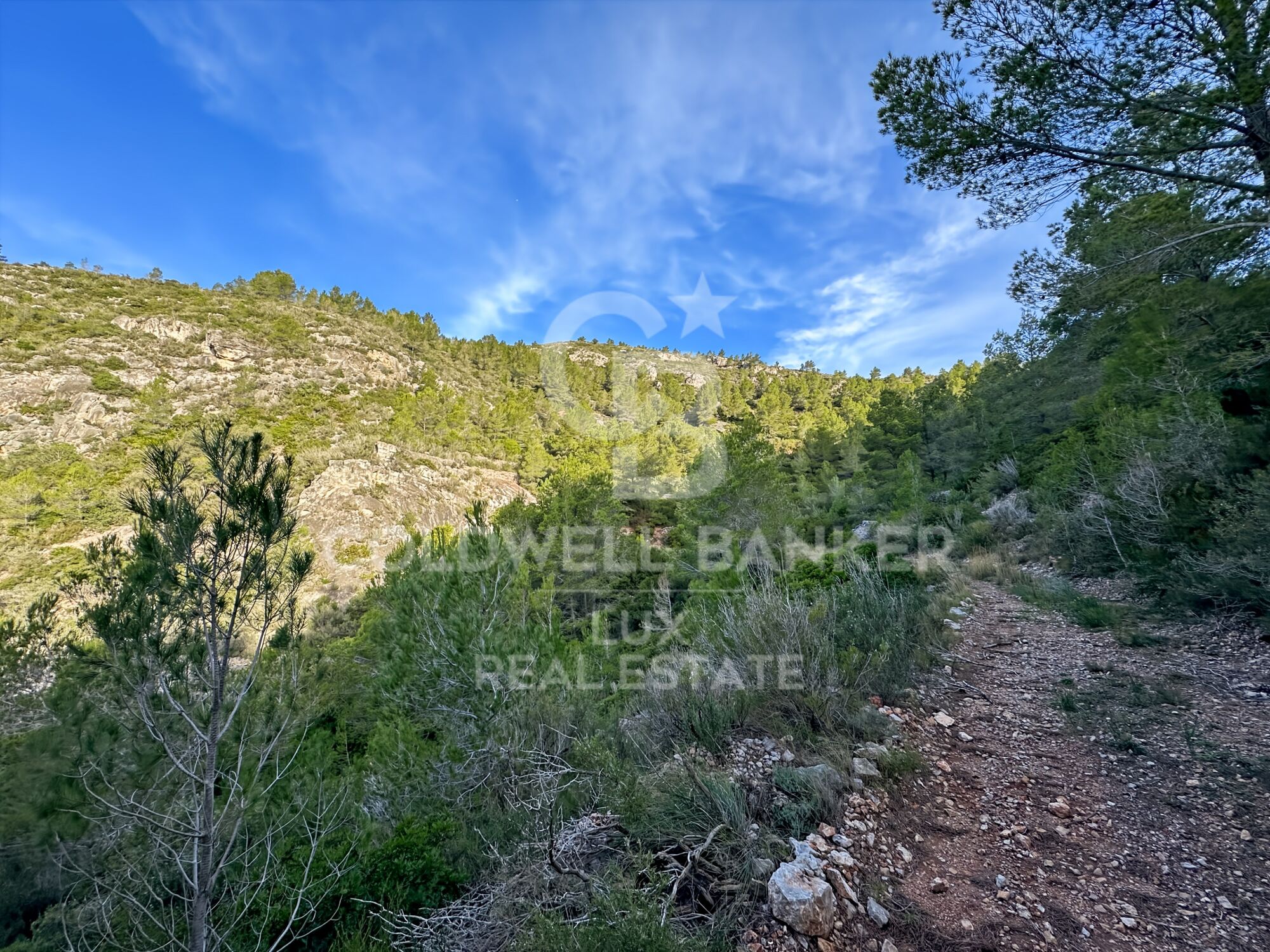 Opportunity in Pratdip, Costa Dorada: estate of almost 28 hectares with a farmhouse dating back to 1900