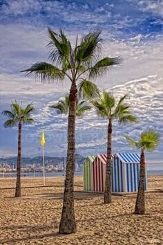 Terrain urbain pour 44 villas de luxe - Rentabilité élevée