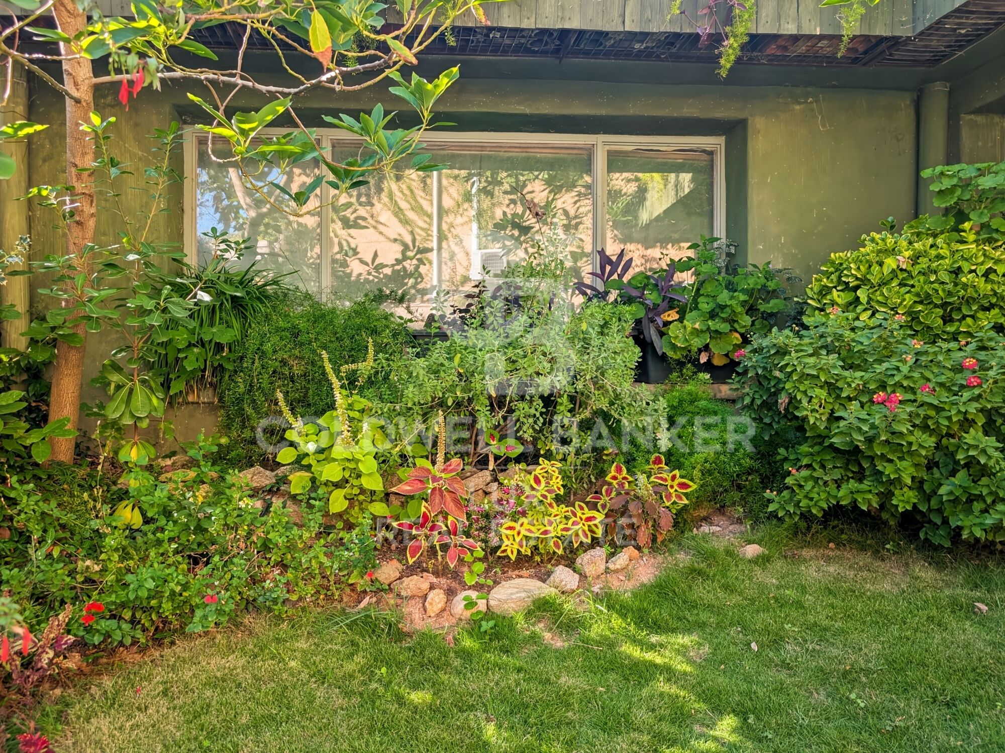 Villa méditerranéenne avec oliviers et vue panoramique à Els Olivars