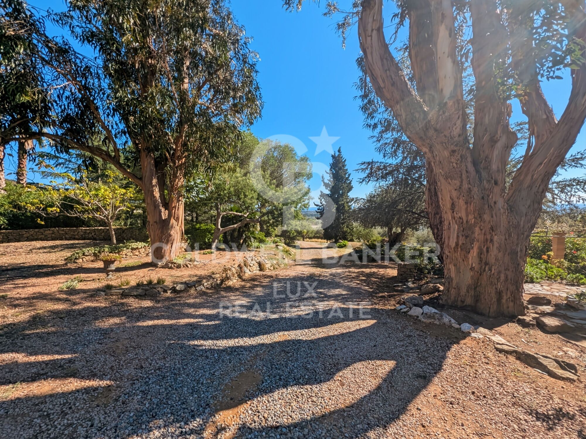 Villa mediterránea con olivos y vistas panorámicas en Els Olivars