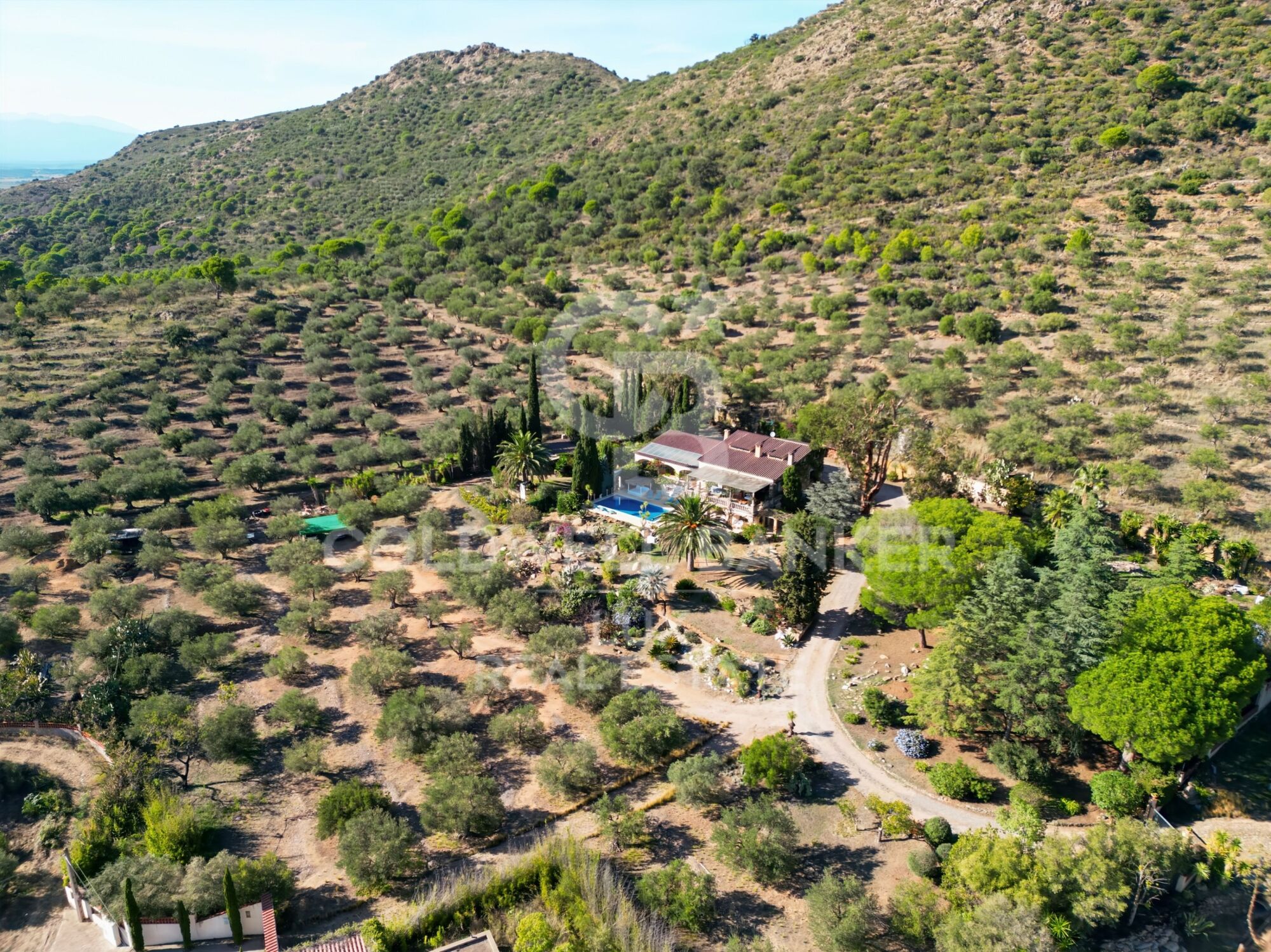 Villa méditerranéenne avec oliviers et vue panoramique à Els Olivars