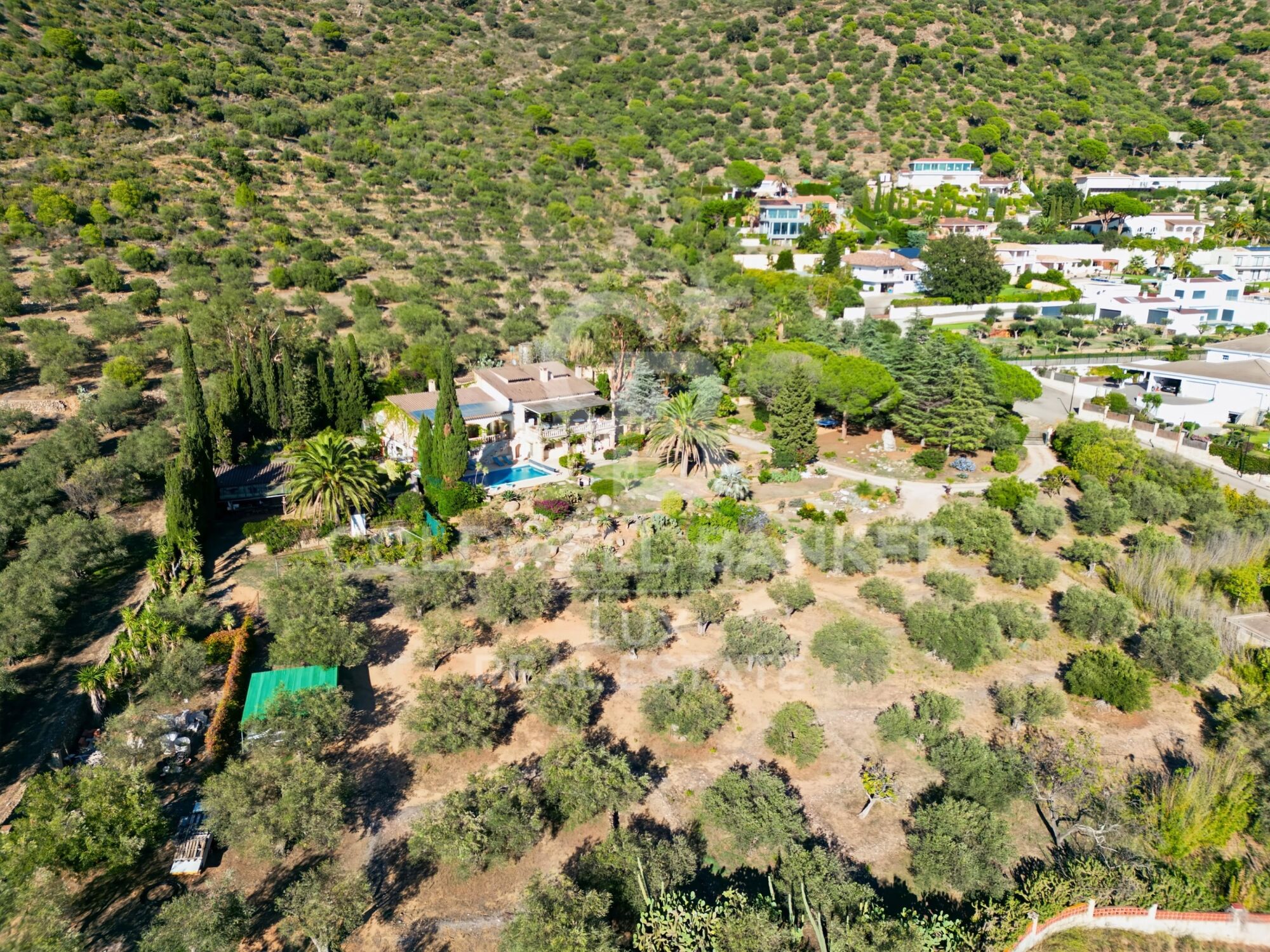 Villa méditerranéenne avec oliviers et vue panoramique à Els Olivars