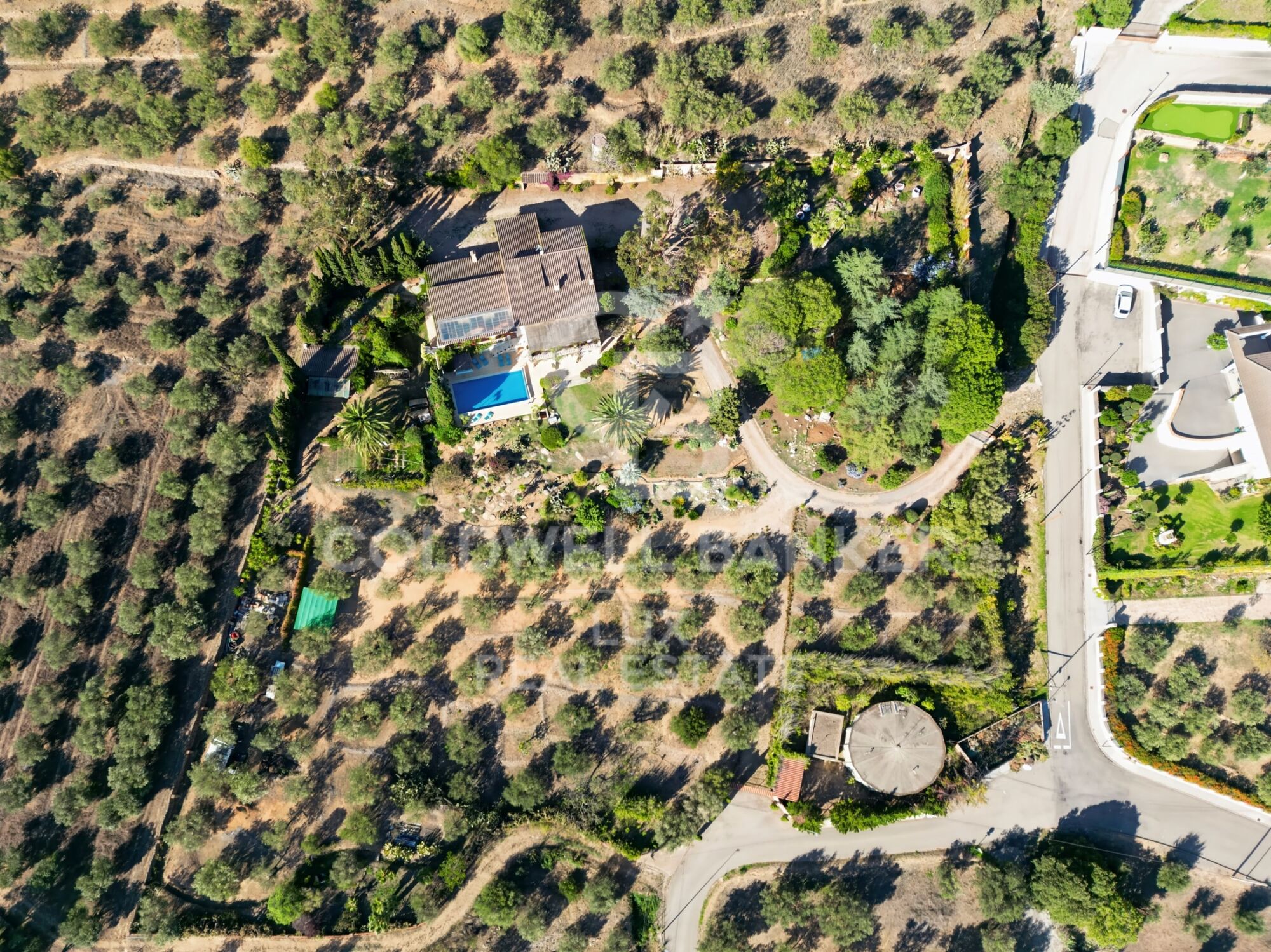 Villa méditerranéenne avec oliviers et vue panoramique à Els Olivars