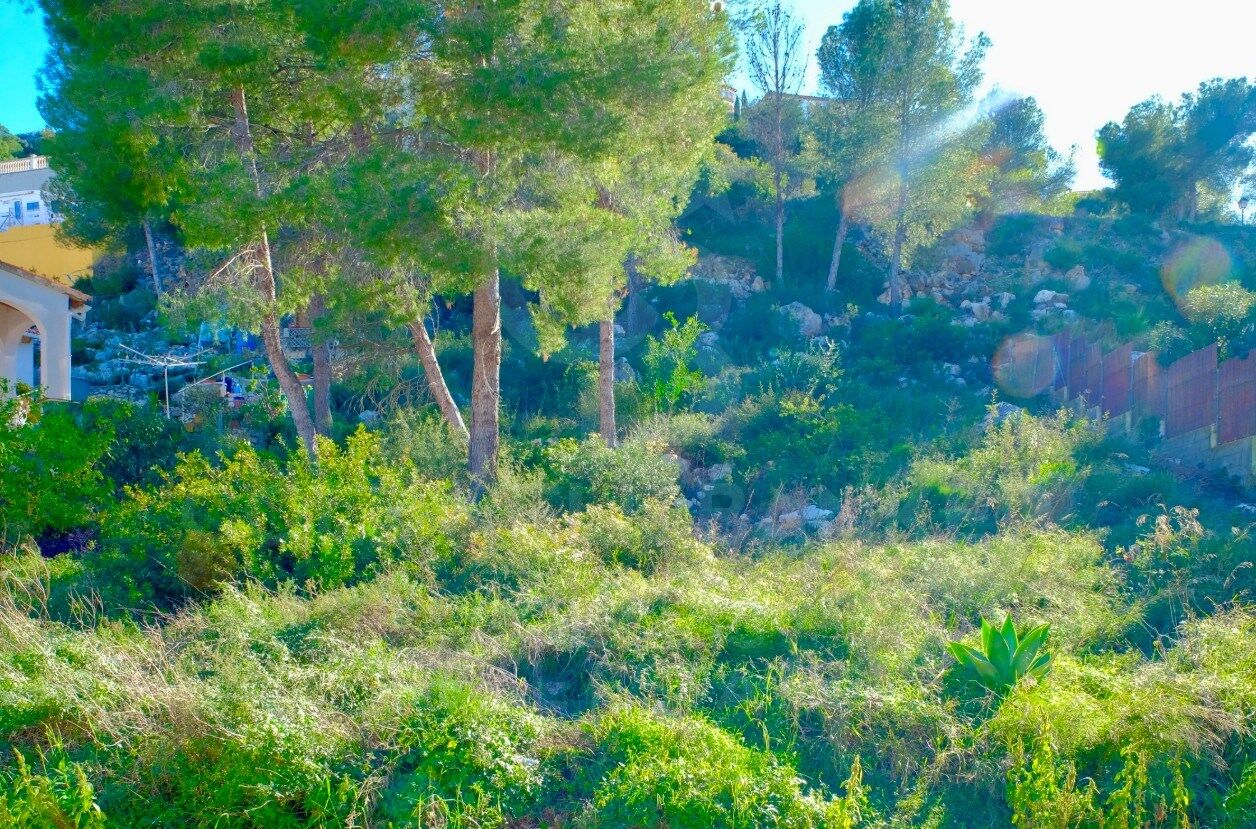 Moderne Segaria-Villa mit Meerblick in Pedreguer, Costa Blanca