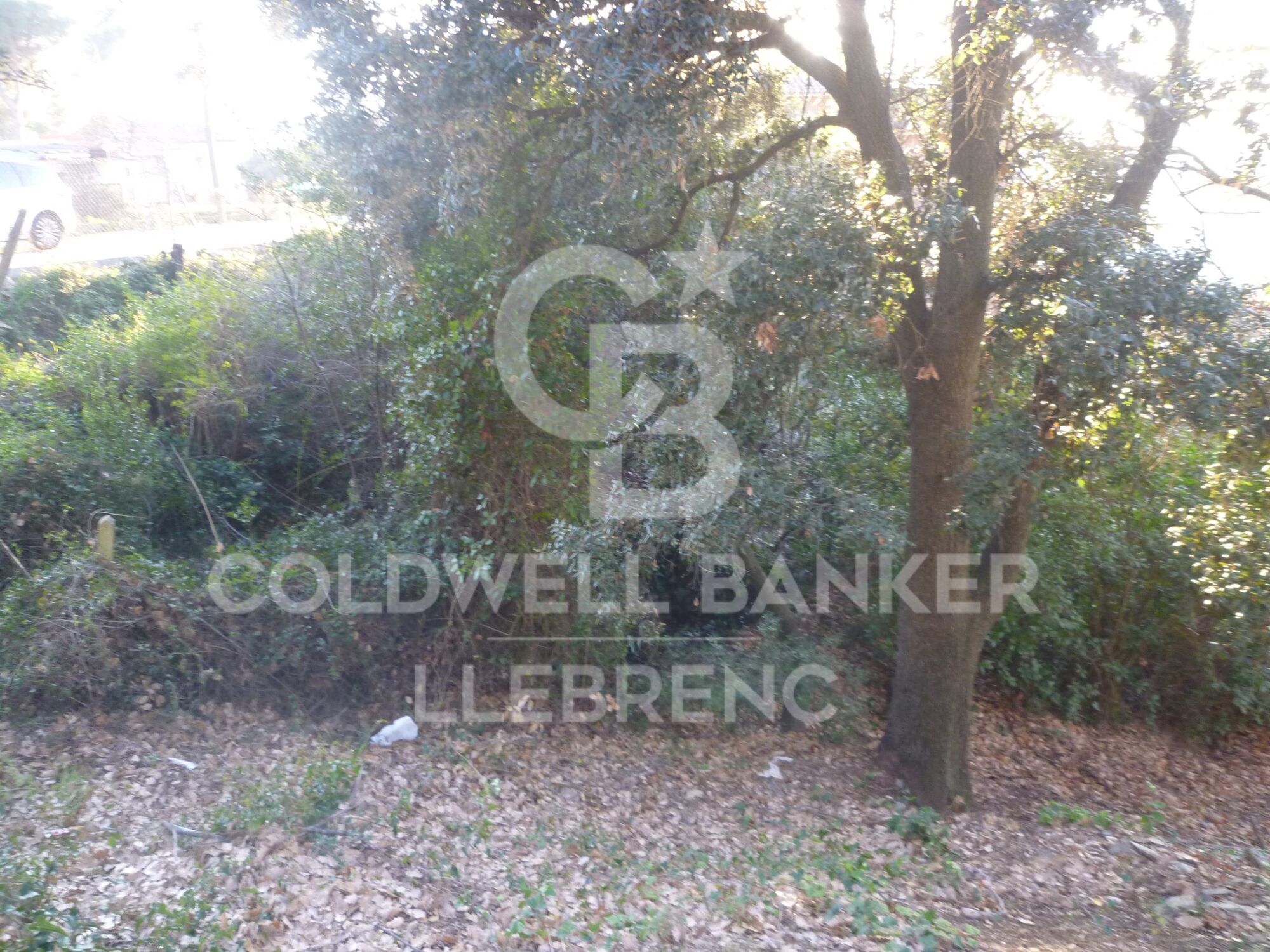 Terrain à vendre à Can Rectoret entouré par le parc naturel de Collserola