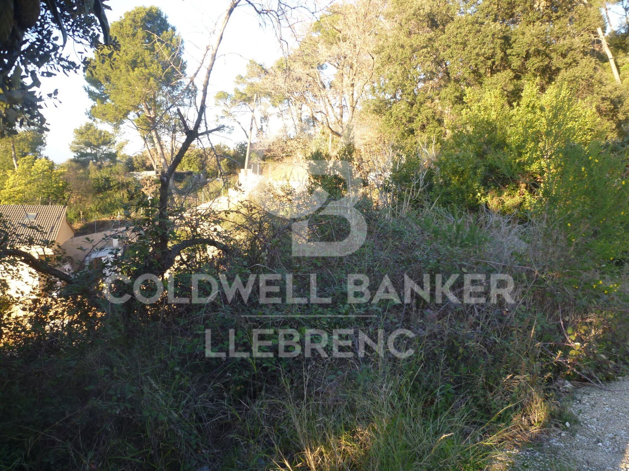 Terrain à vendre à Can Rectoret entouré par le parc naturel de Collserola