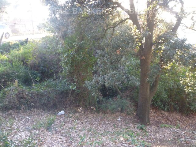 LAND IN RECTORET SURROUNDED BY THE NATURAL PARK OF COLLSEROLA
