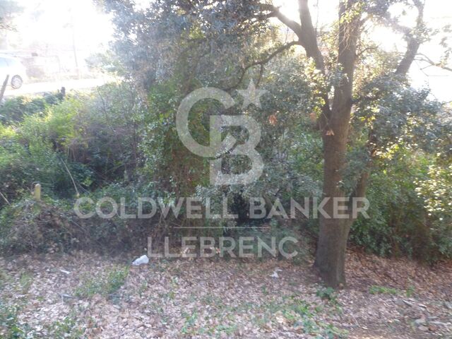 Land for sale in Can Rectoret surrounded by the Collserola natural park