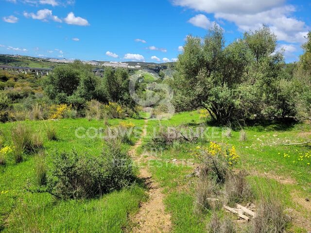 Spectacular rural plot in the municipality of Estepona