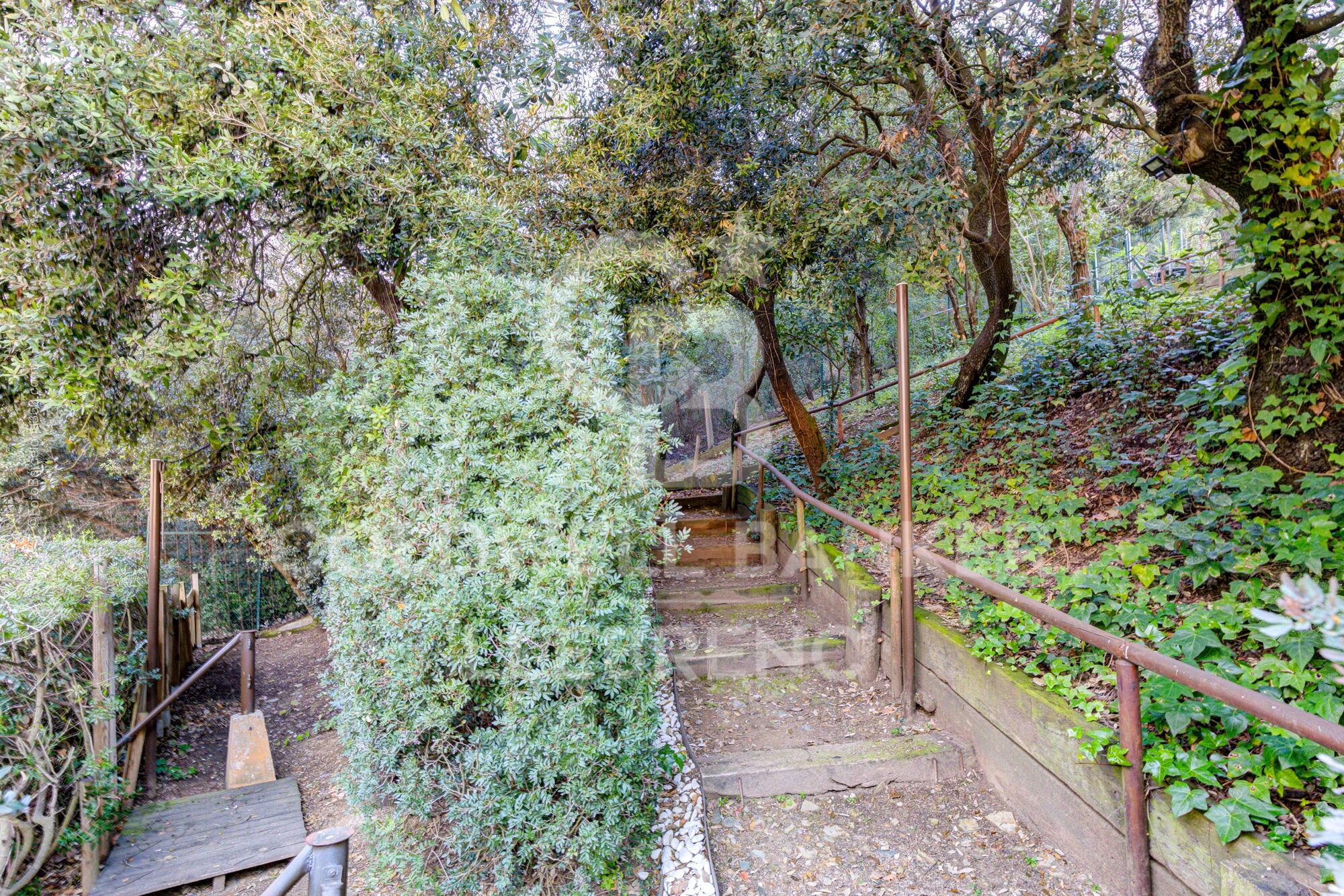 Spectacular house for sale and for rent in Vallvidrera with pool, garden and terraces
