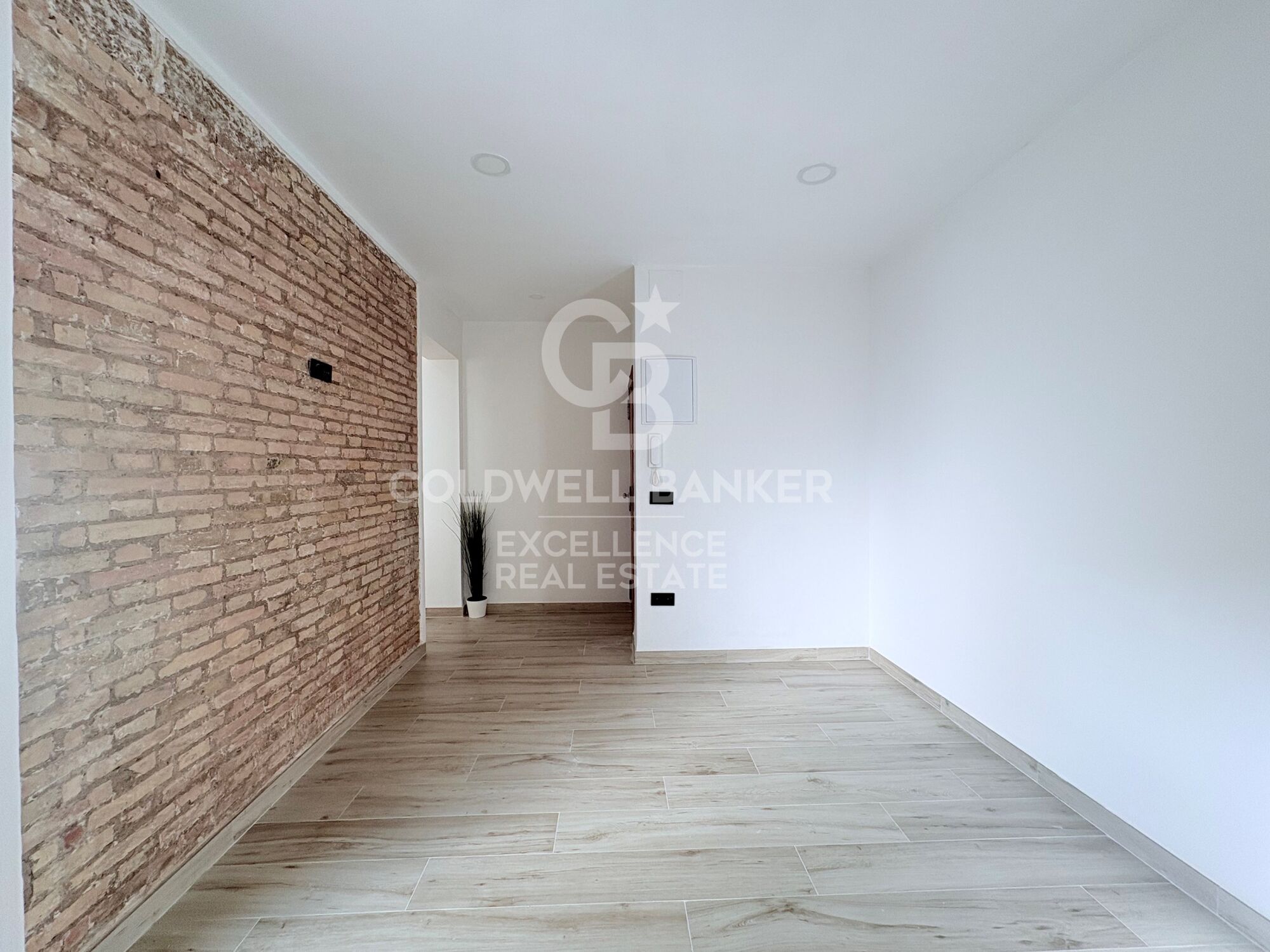 Newly renovated apartment next to Avenida de Francia.