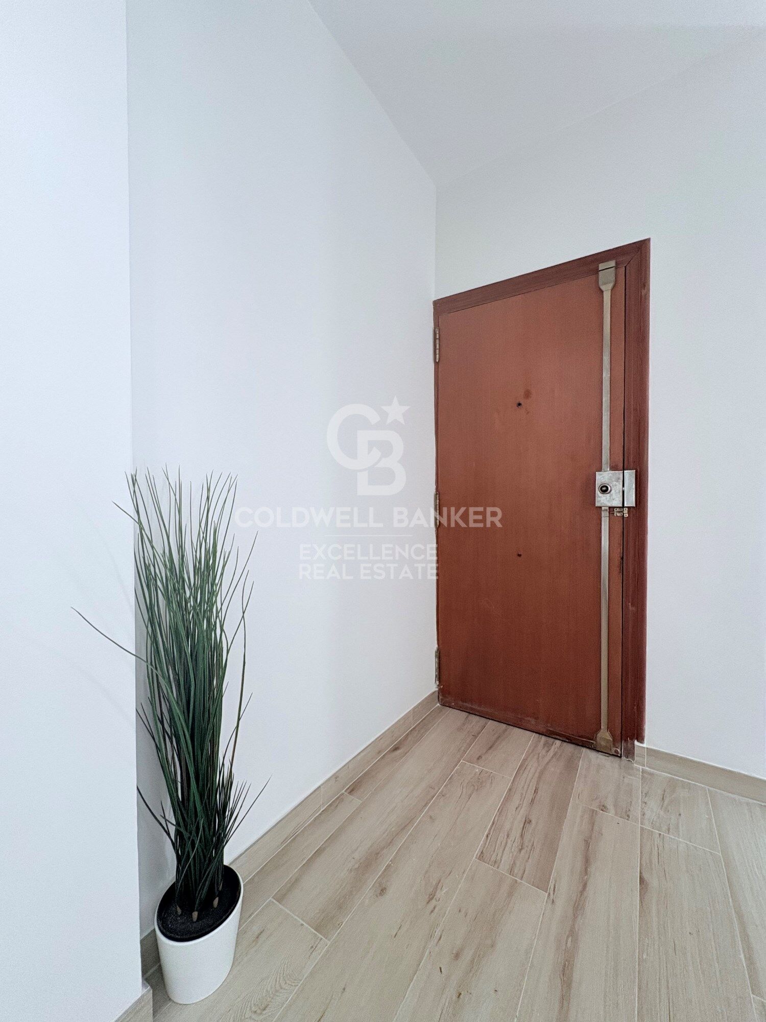 Newly renovated apartment next to Avenida de Francia.