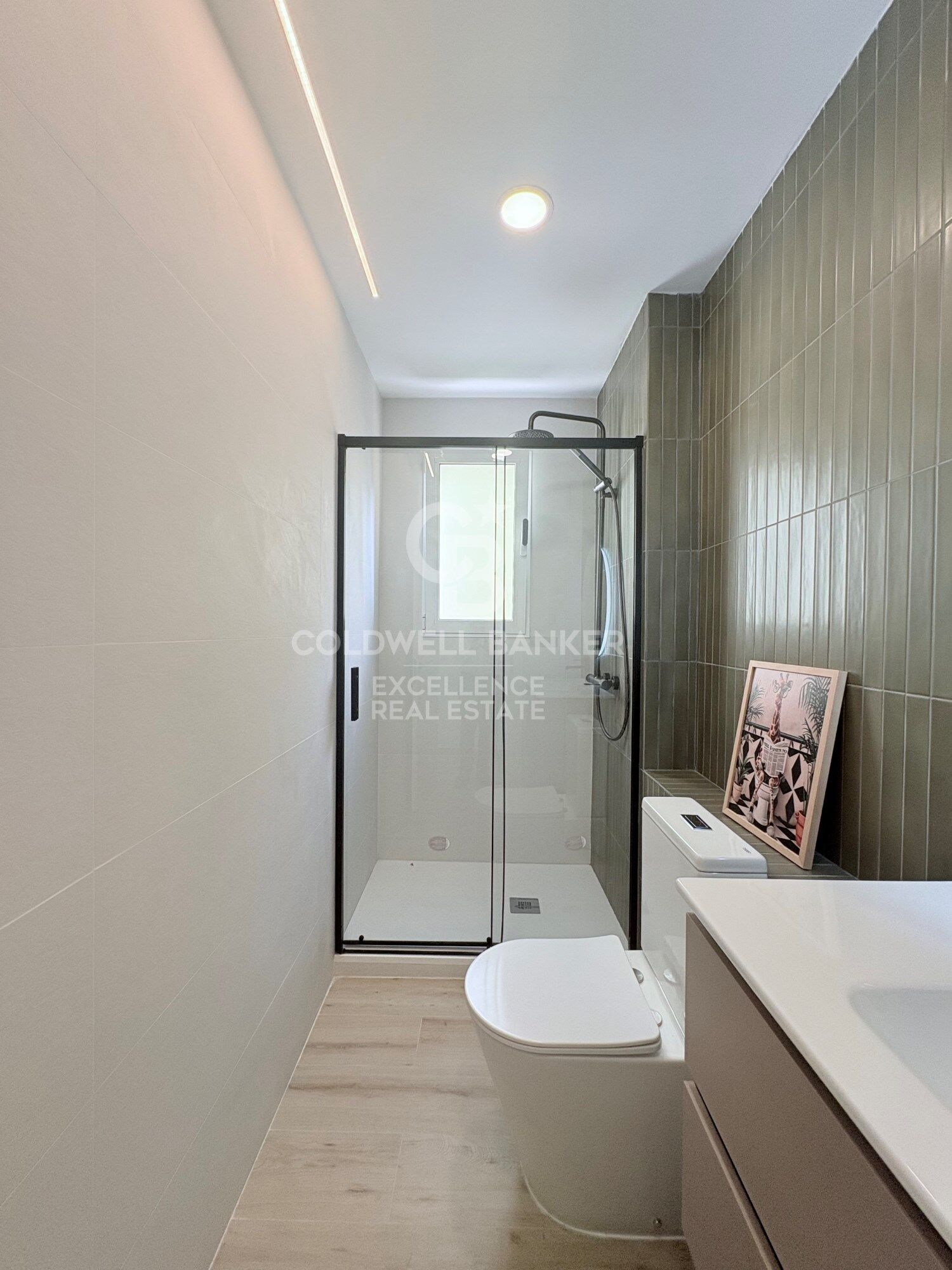 Newly renovated apartment next to Avenida de Francia.