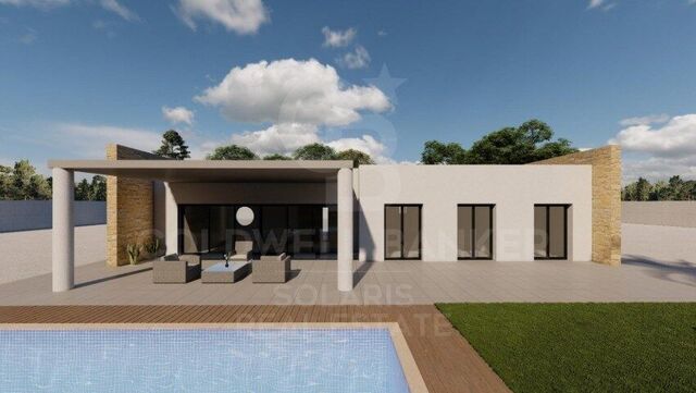 Basisprojekt eines freistehenden Einfamilienhauses mit Schwimmbad - Pinoso (Alicante)