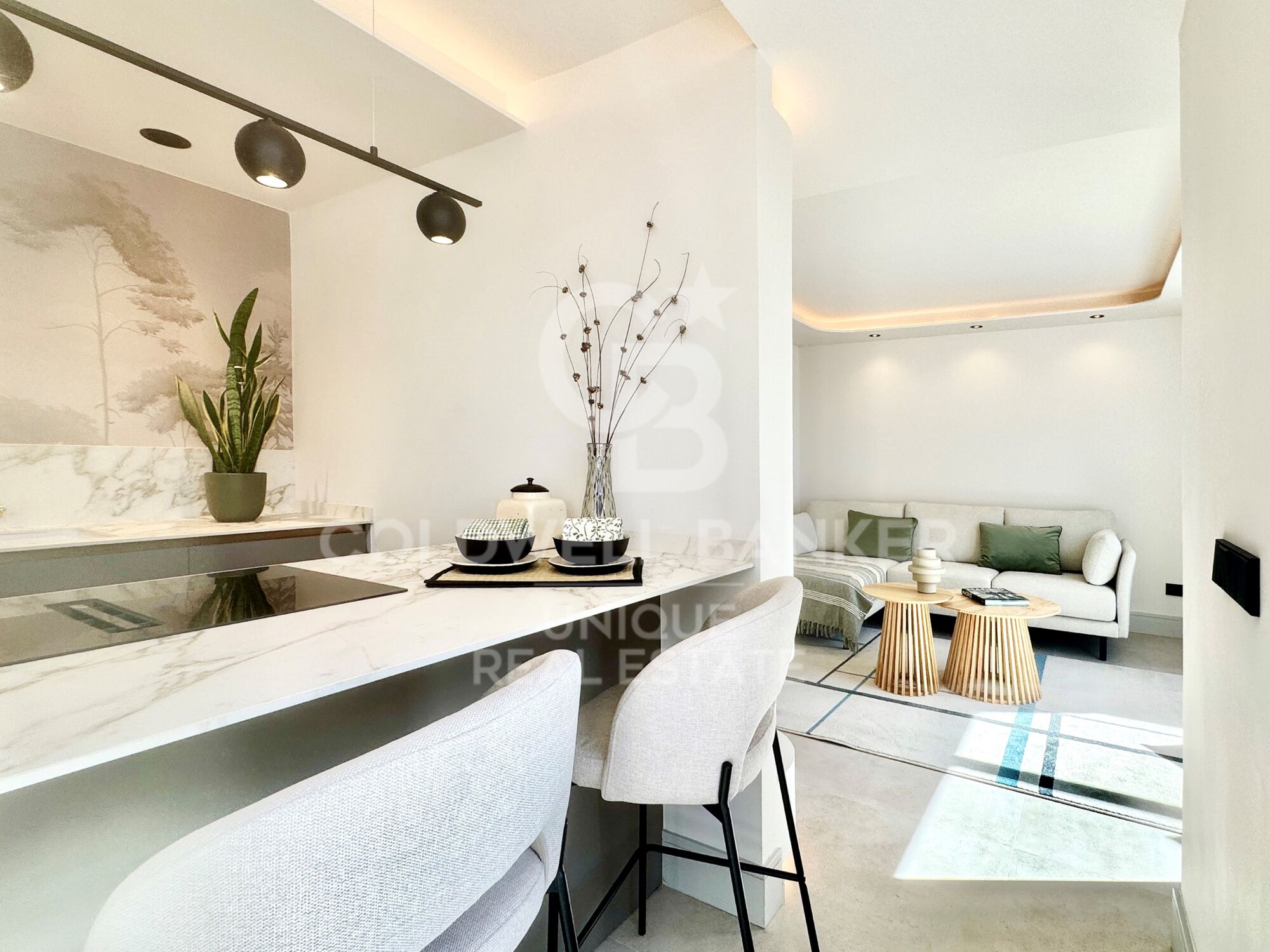 Exclusive penthouse renovated with the best qualities in Trafalgar, Madrid