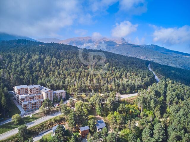 Apartment 1 Bedroom Sale Alp