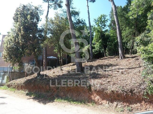 Maravilloso terreno en venta en Mas Guimbau rodeado del parque natural de Collserola
