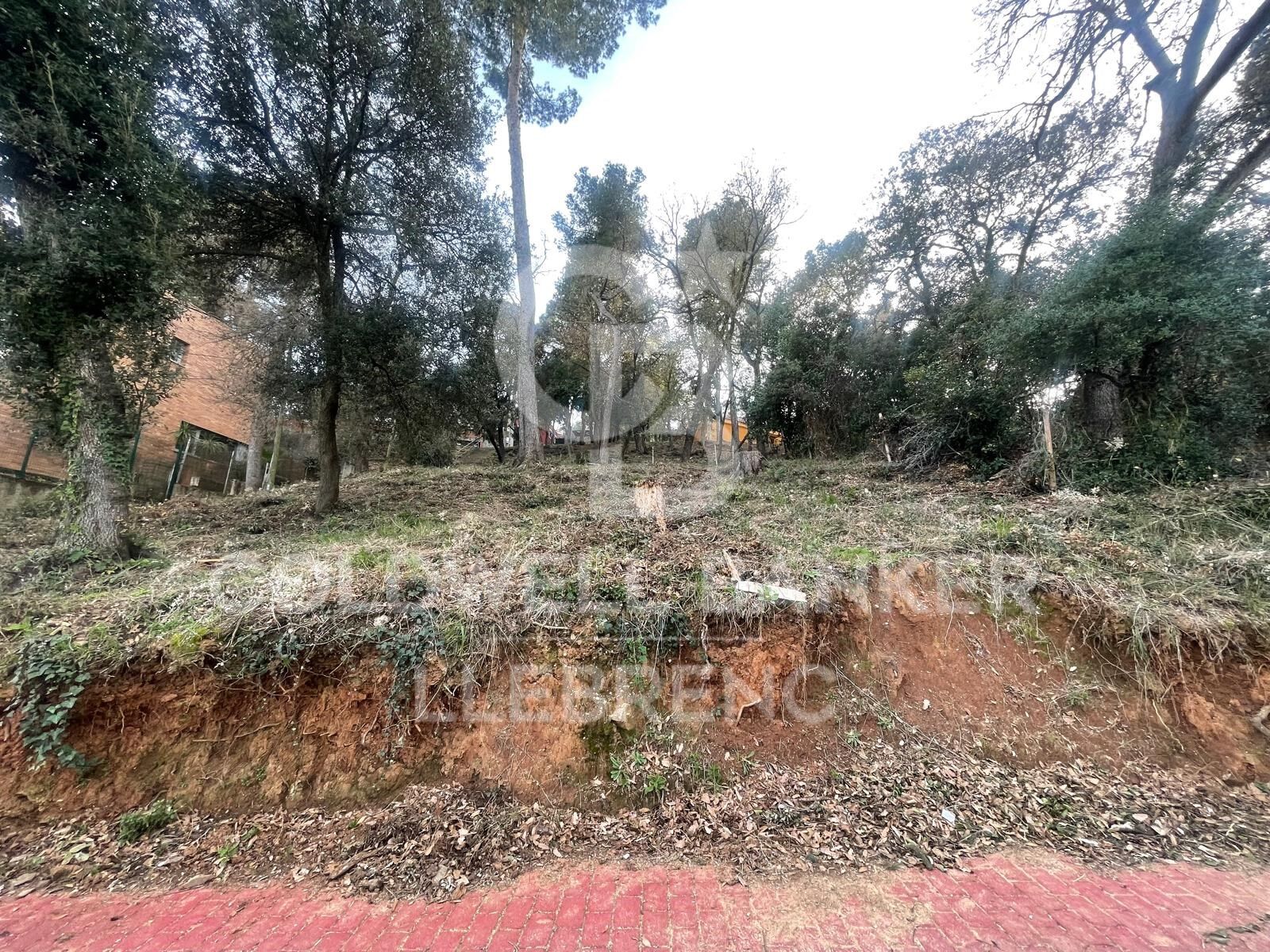 Magnifique terrain à vendre à Mas Guimbau entouré du parc naturel de Collserola
