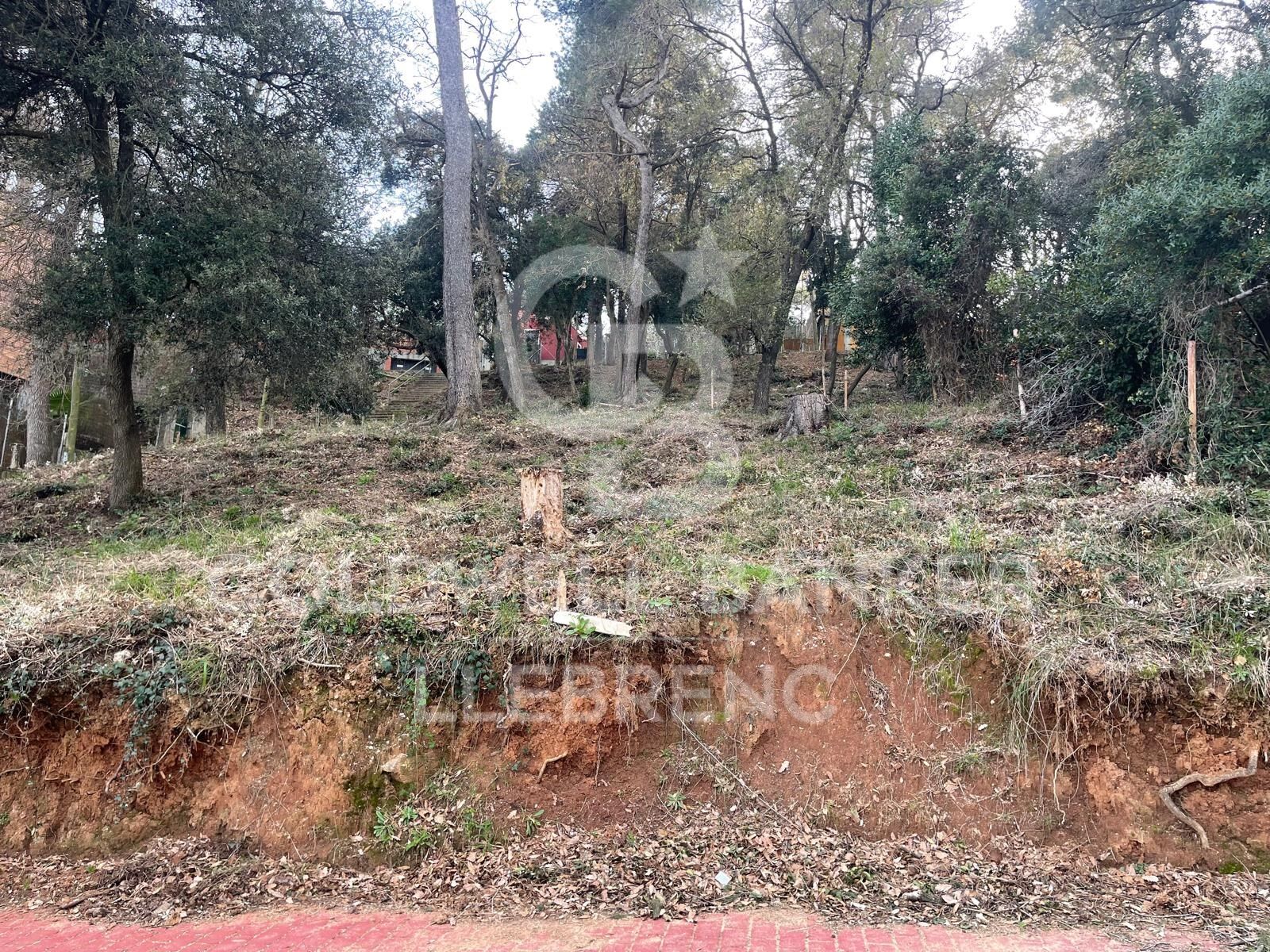 Maravilloso terreno en venta en Mas Guimbau rodeado del parque natural de Collserola