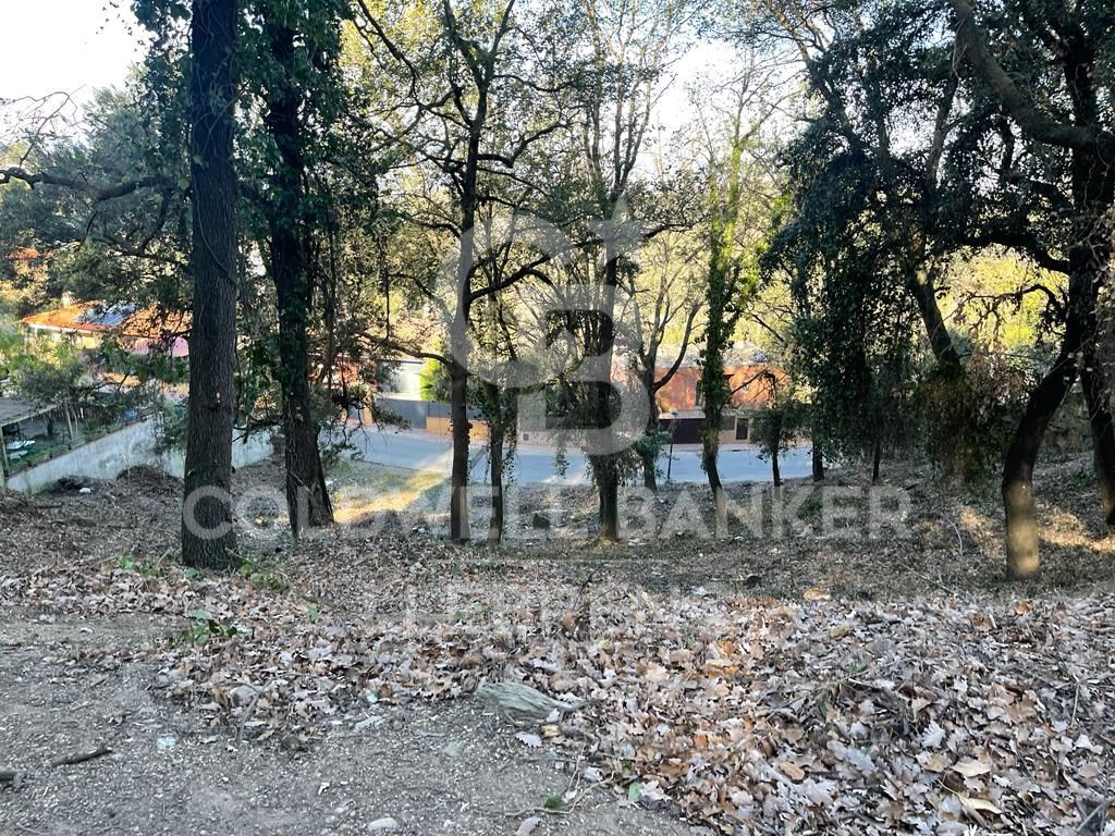 Amplio terreno en venta en Can Cortés