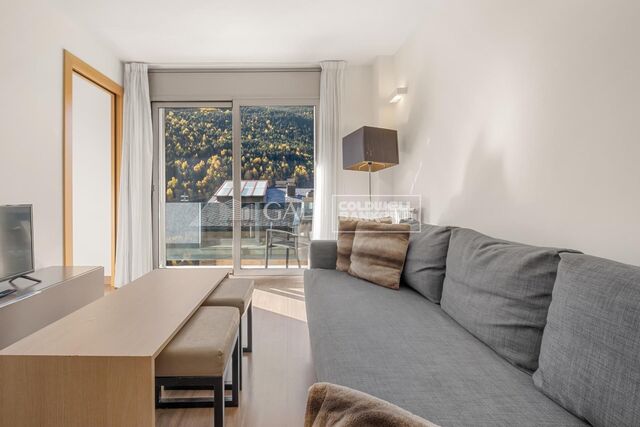 Apartment 2 Bedrooms Sale Canillo