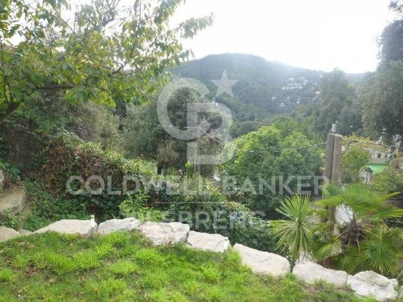 Land for sale in Can Rectoret with south orientation, tranquility, and nature.