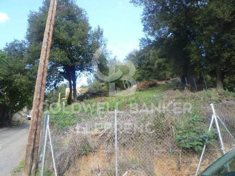 Land for sale in Can Rectoret with south orientation, tranquility, and nature.