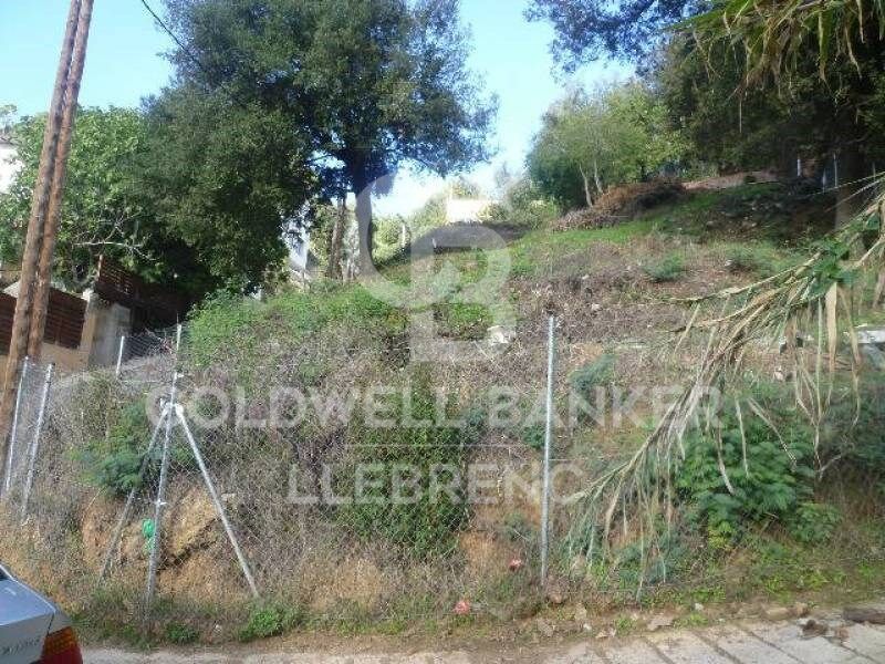 Land for sale in Can Rectoret with south orientation, tranquility, and nature.