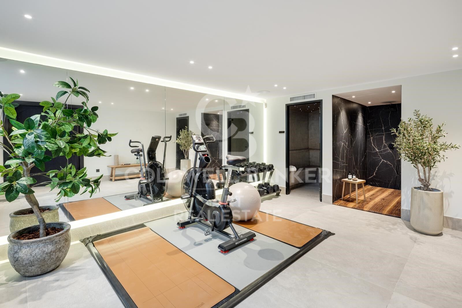 Elegant contemporary villa in the heart of Nueva Andalucía, Marbella