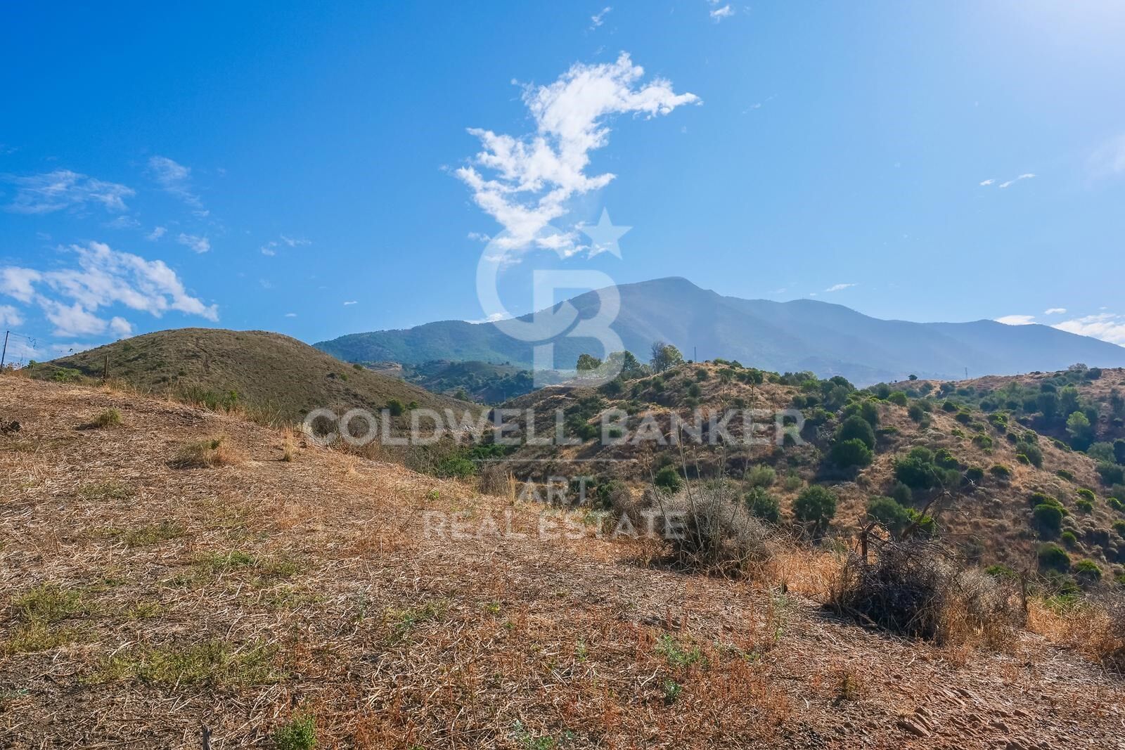 Rustic estate with building potential in Mijas, Costa del Sol