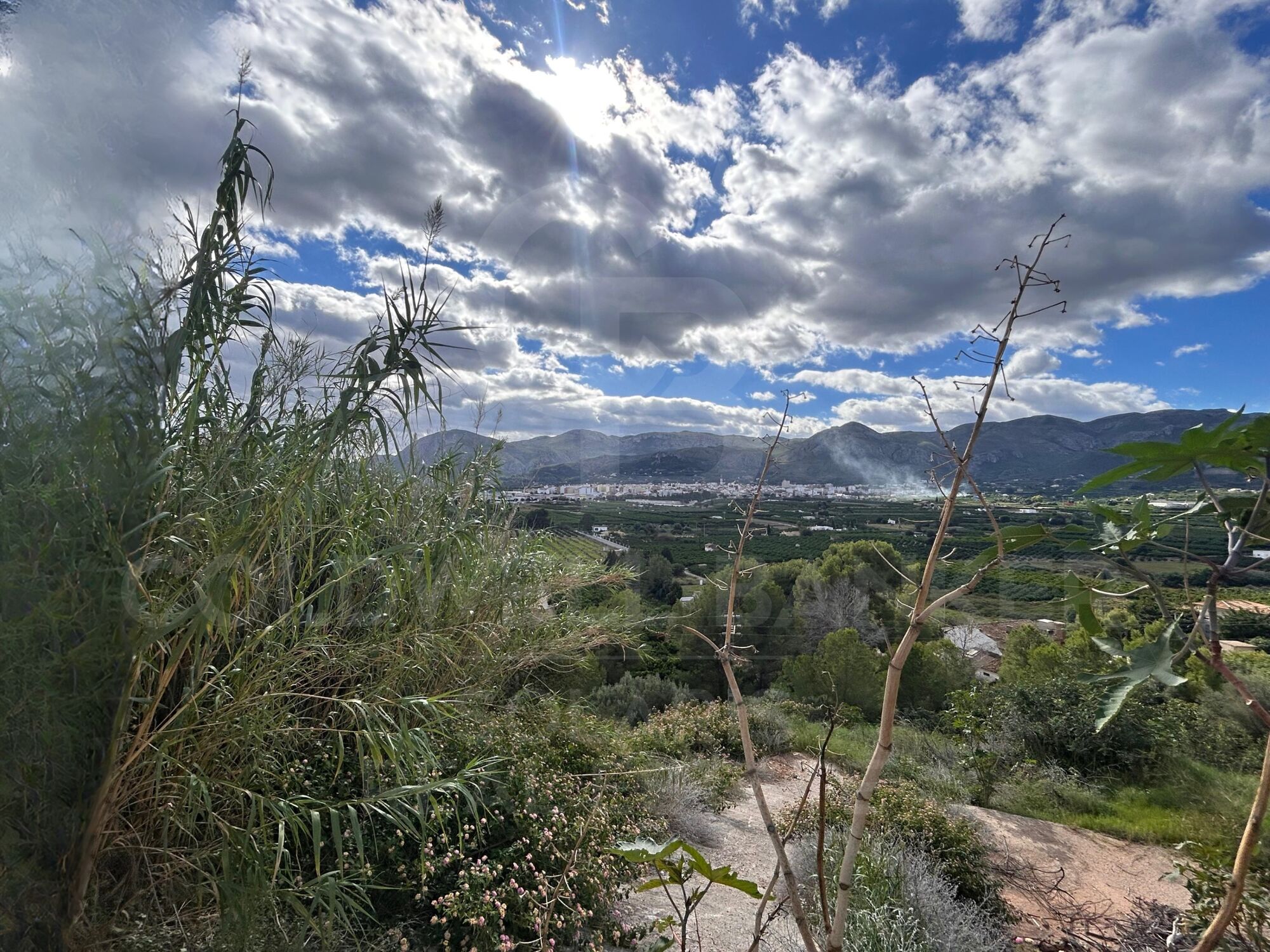 Städtisches Grundstück in Monte Mostalla mit Meerblick und ruhiger Umgebung