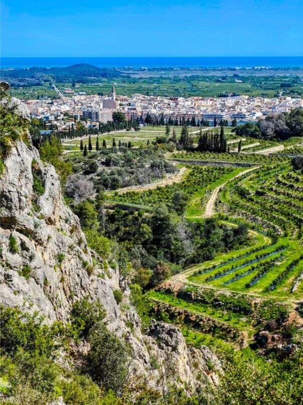 Terrain urbain à Monte Mostalla avec vue sur la mer et environnement calme