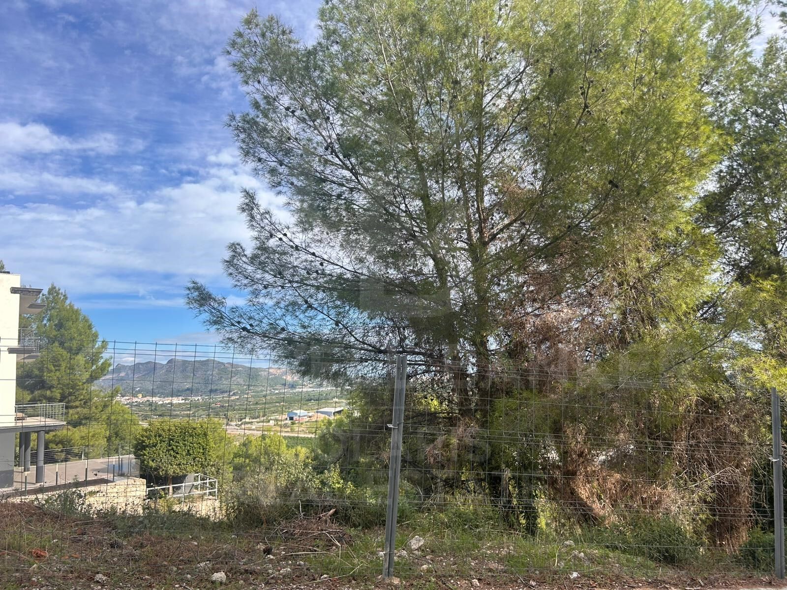Plot for sale in Ador