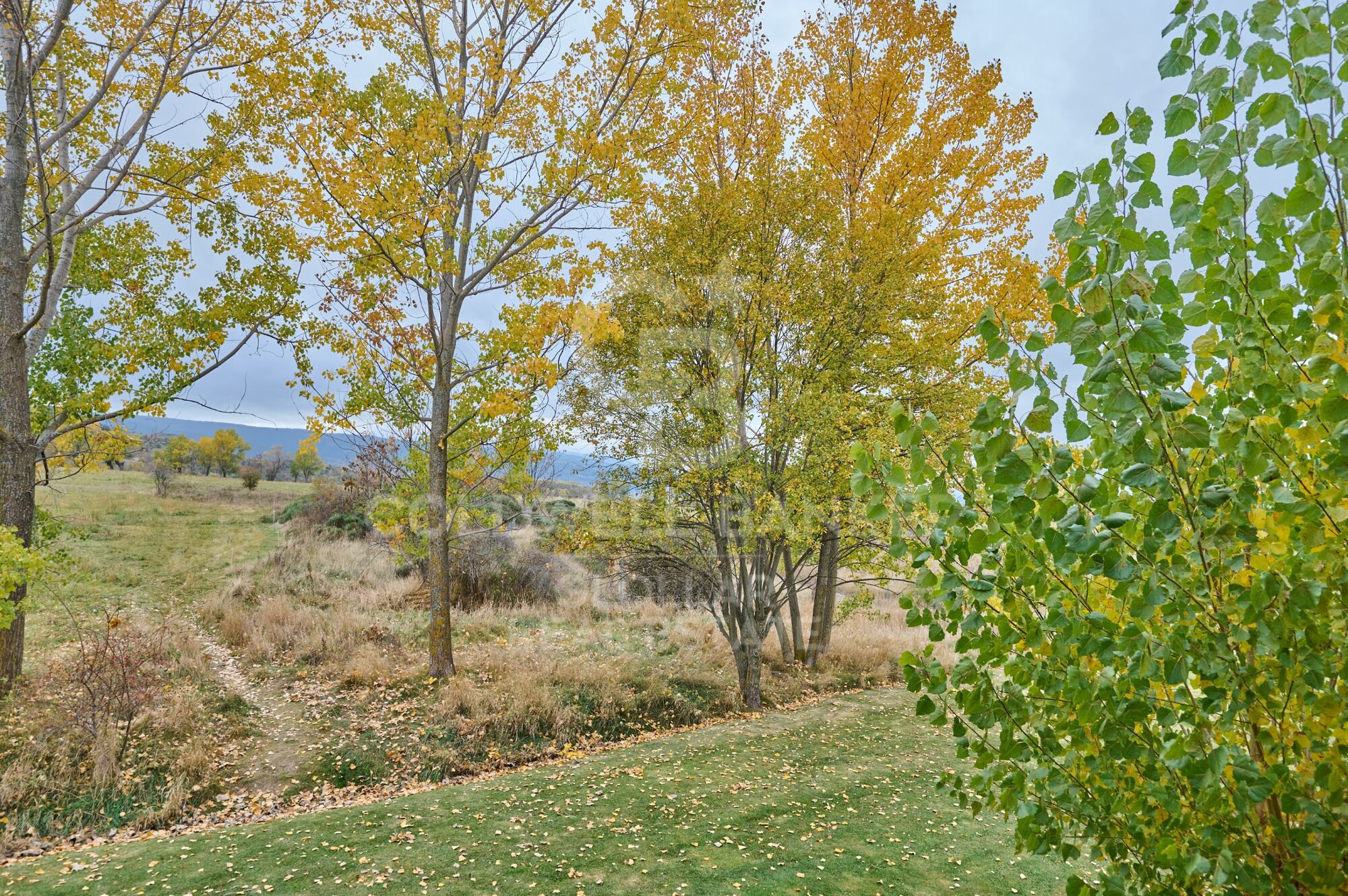 Apartment 1 Bedroom Sale Sainte-Léocadie