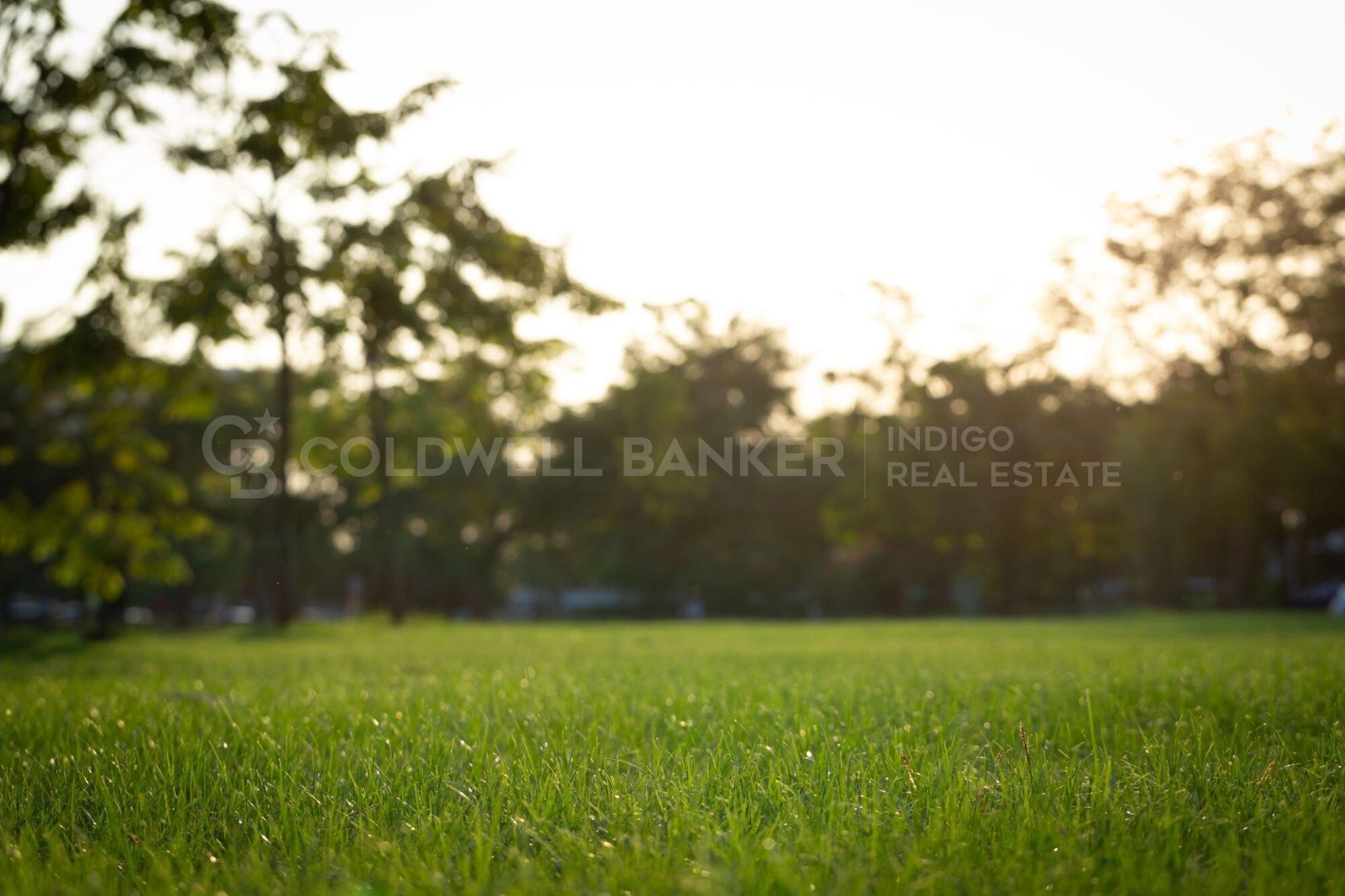 Terrain Acheter Cangas