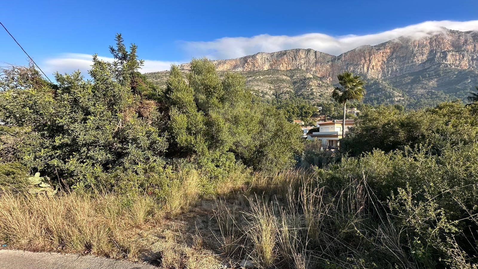 Terrain urbain de 5 766 m2 Montgó - Ermita