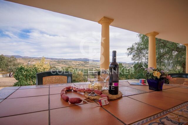 Panoramic Estate with Private Pool, Tourist License and Olive Grove