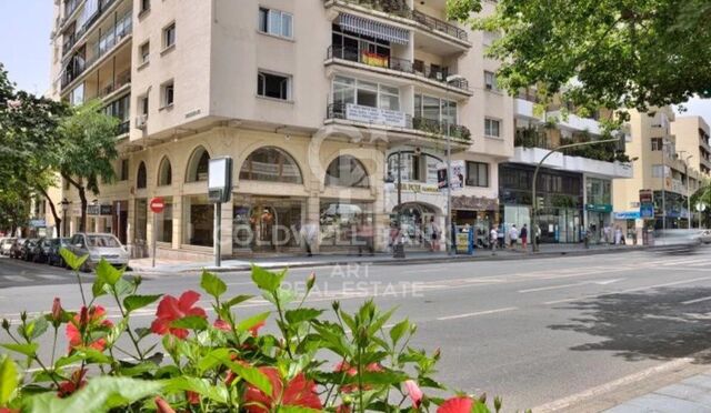 Local con mucho potencial en Ricardo Soriano, Marbella