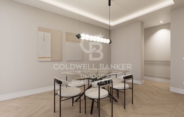 Renovated apartment in Castellana, Madrid