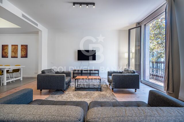 Spacious renovated apartment in historic building