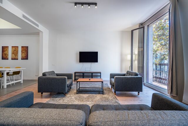 Spacious renovated apartment in historic building