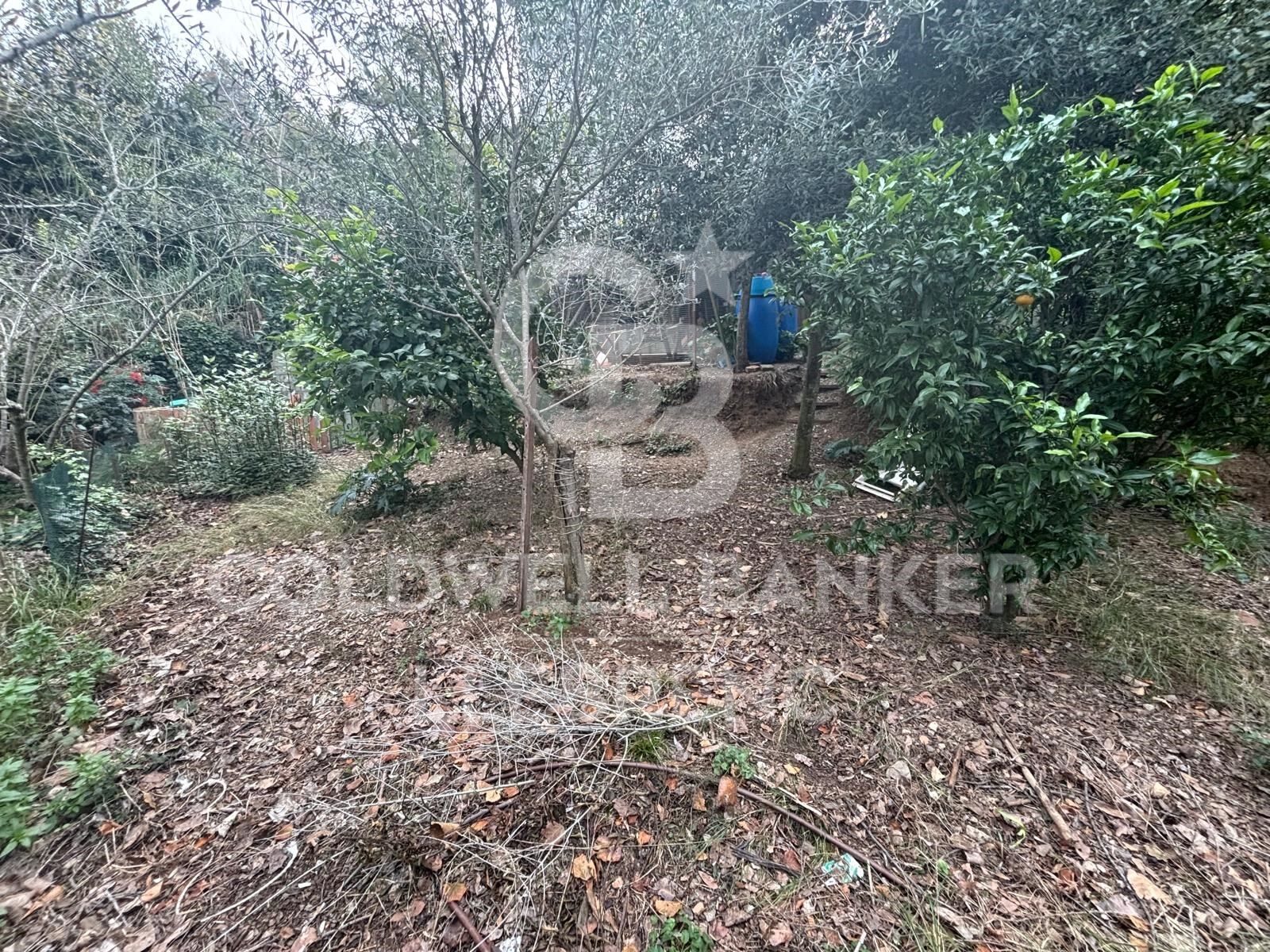 Terreno urbano en venta en Vallvidrera