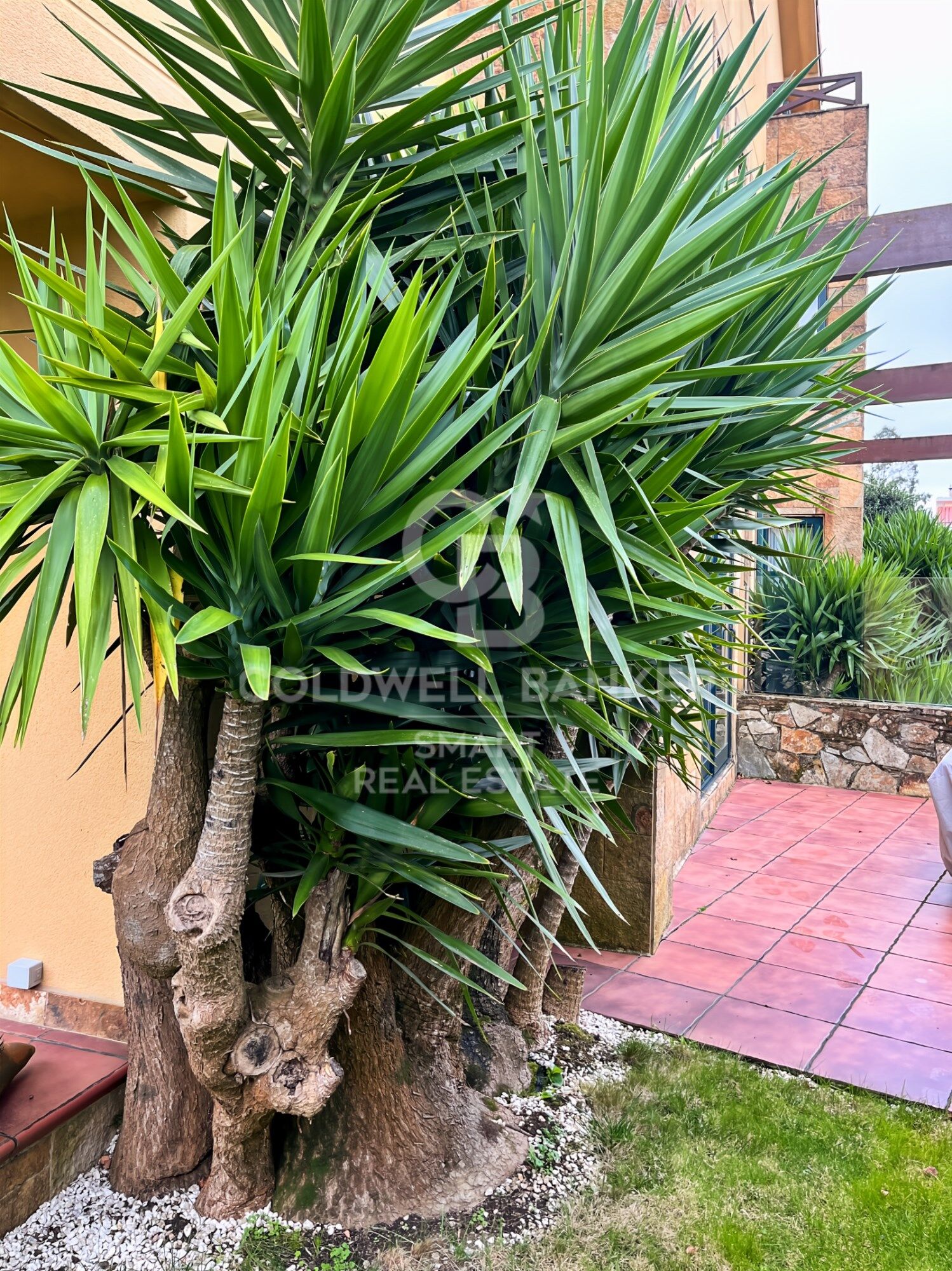 Chalet 4 Bedrooms Sale Oleiros