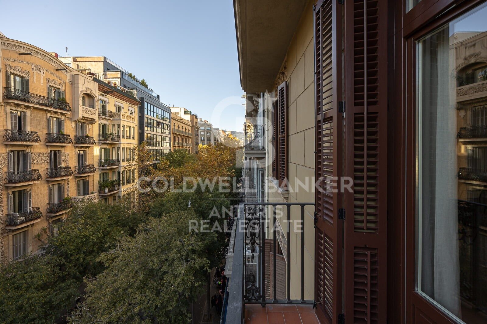 Spacious apartment with exclusive renovation in the city center